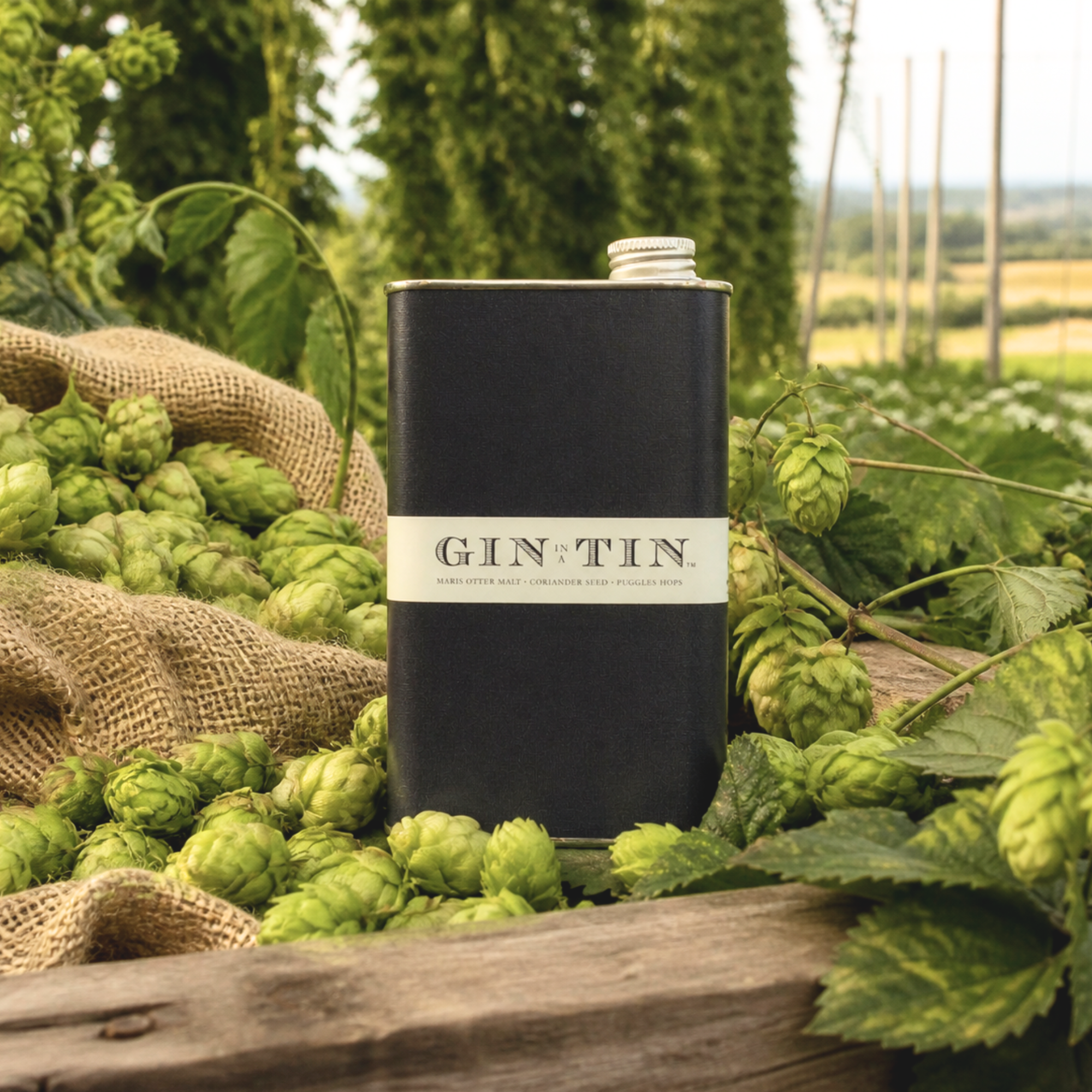 A 50cl tin of 2026 Gin No. 11 London Dry gin featuring Fuggles hops, coriander seed and Maris Otter malt, presented as a still life product image.