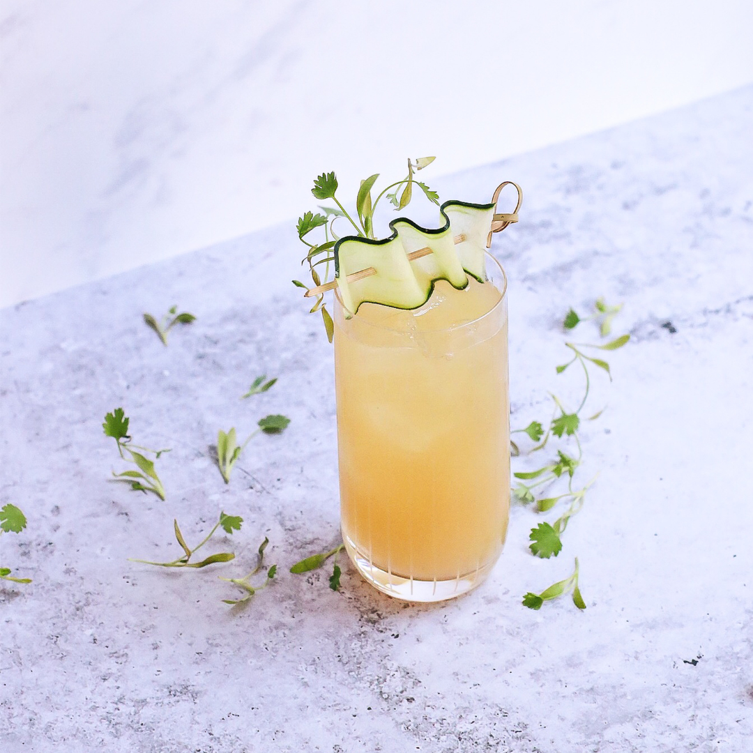 Citrus Pilsner Fizz with Gin No.11