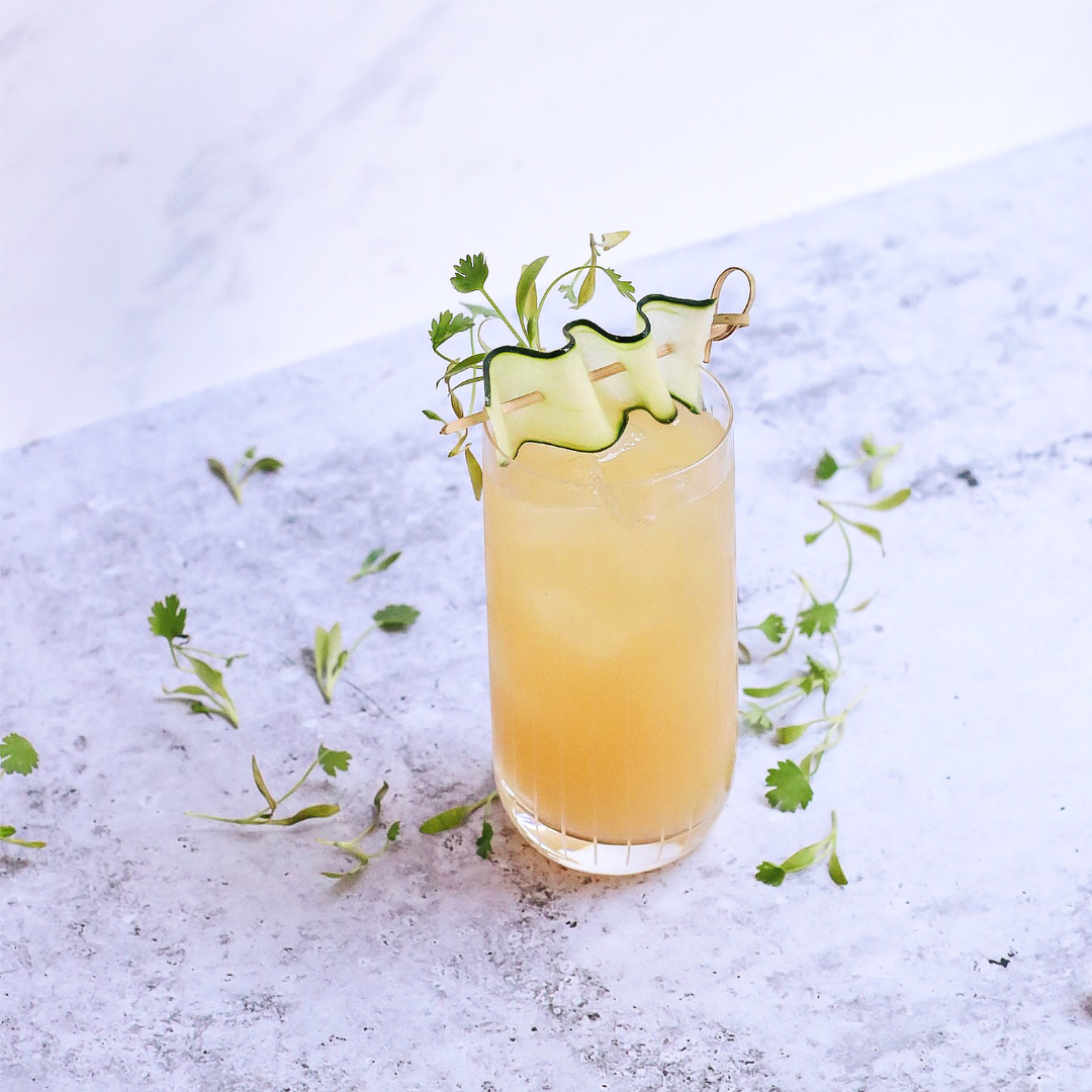 Citrus Pilsner Fizz With Gin No.11