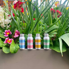 Miniature gins on the wall